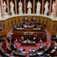 French Senate Recognizes the Assyro-Chaldeans Genocide of 1915-1918